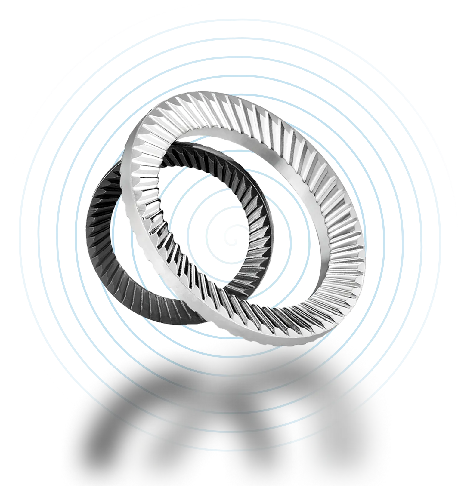 A par of Schnorr disc spring washers.